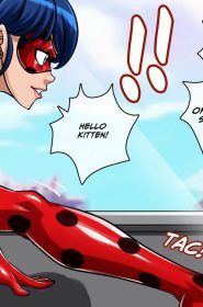 Miraculous Ladybug (38)