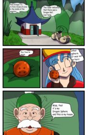 Bulma’s Search (3)