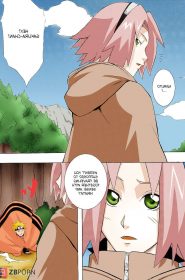 Naruto x Sakura0031