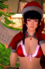 Nyotengu's Christmas Gift (2)