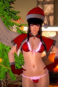 Nyotengu's Christmas Gift (3)