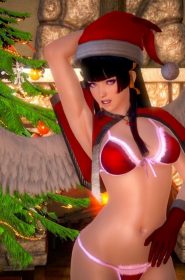 Nyotengu's Christmas Gift (5)