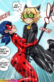 Miraculous Ladybug (38)