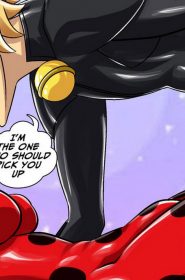 Miraculous Ladybug (41)