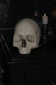 Skull (4)