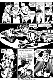 Trans-Domina 1 (2)