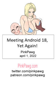 Meeting Android 18 Yet Again047