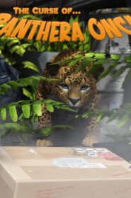 Panthera Onca (27)