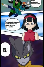 Videl Training002