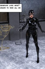 The Disastrcus Misadventures Of Catwoman (6)
