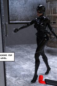 The Disastrcus Misadventures Of Catwoman (7)