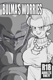 Bulma's Worries0001