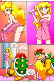 The Mushroom Kingdom Secret 0004